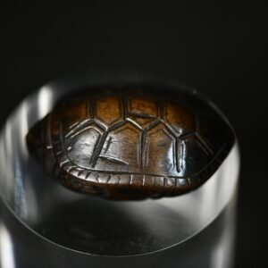 turtle wood netsuke