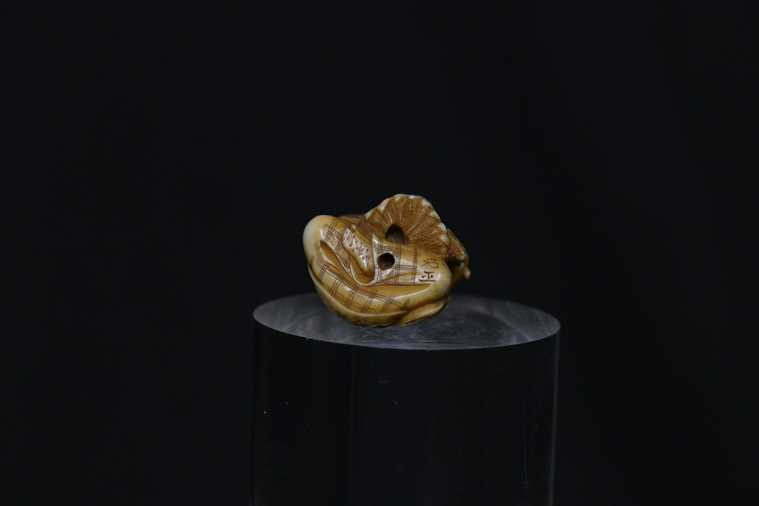 Netsuke Elder and bird ivory