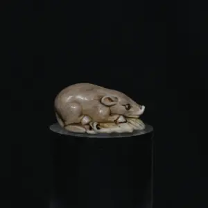 Netsuke recumber boar ivory