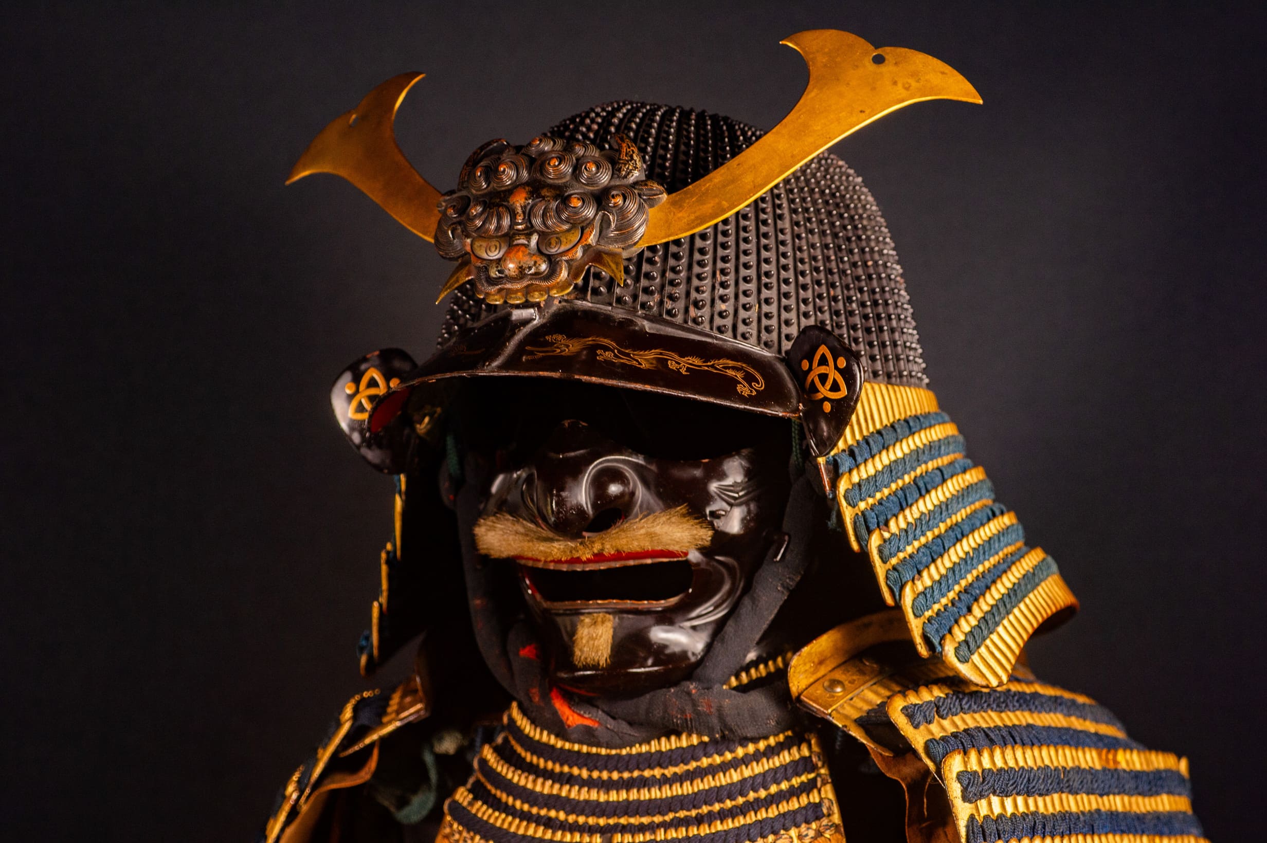 Japanese Samurai Armor (Gusoku) – Signed Ietada of the Saotomé School | Early Edo Period | Tokubetsu Kichō Shiryō - Image 6