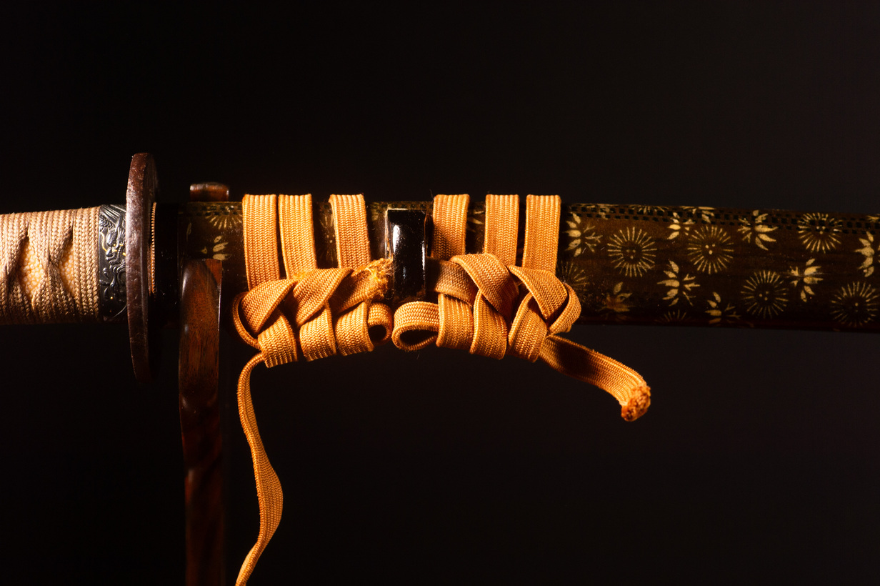 Mumei Katana with Complete Koshirae - Tokyo Torokusho - Image 3