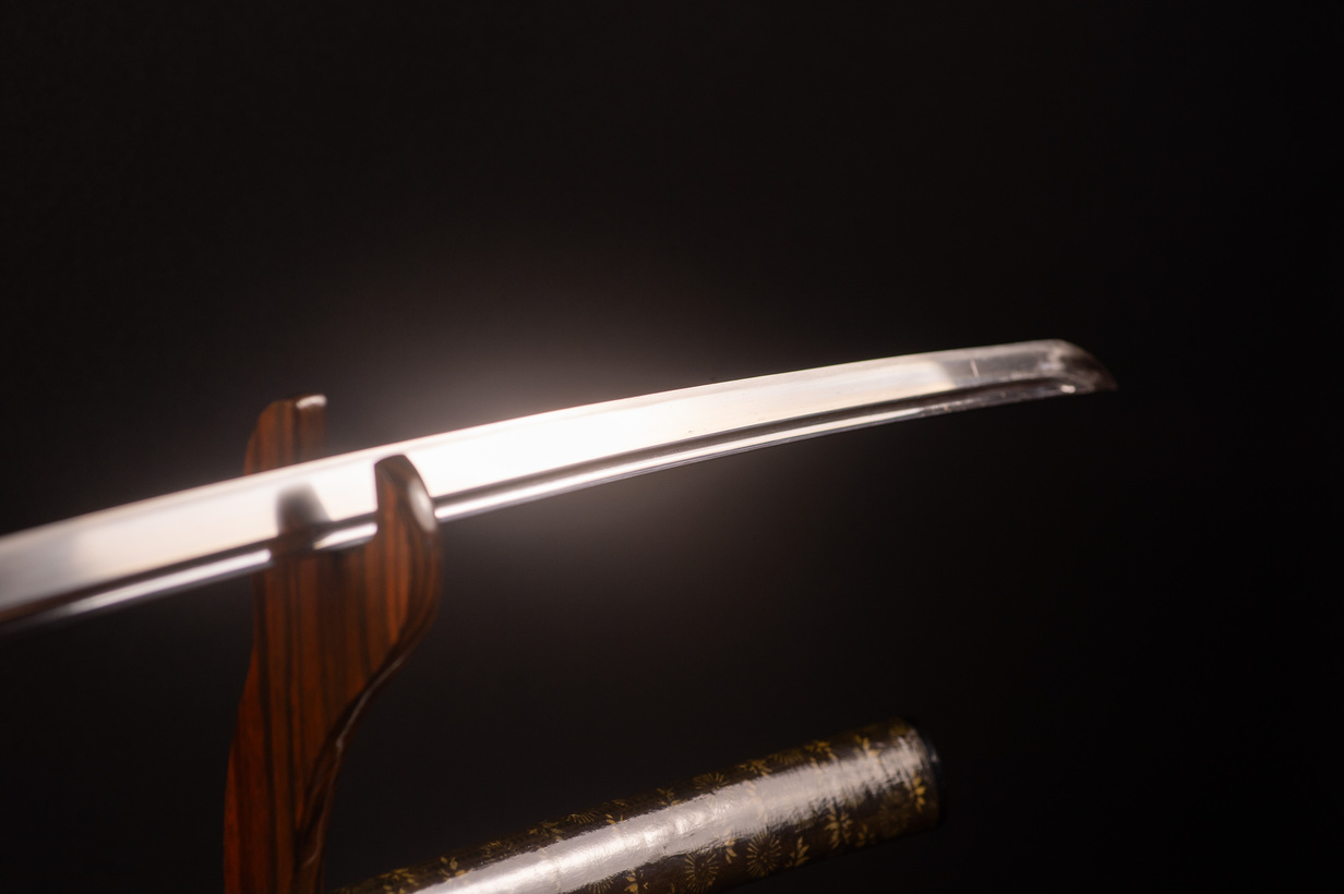 Mumei Katana with Complete Koshirae - Tokyo Torokusho - Image 4