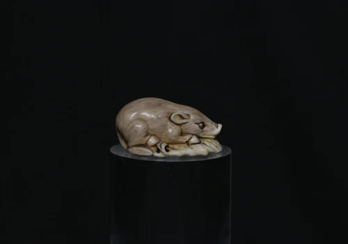 Netsuke recumber boar ivory