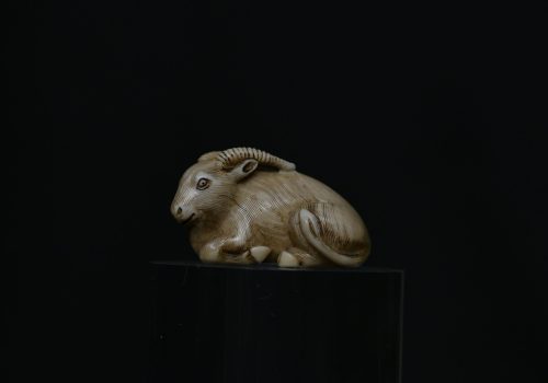 Netsuke reclining goat ivory
