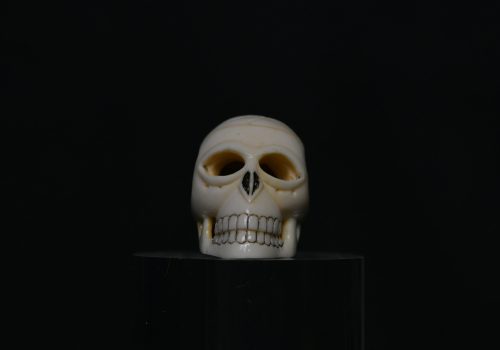 Netsuke Skull ivory